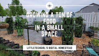 Growing a Ton of Food in a Small Space | GreenStalk Vertical Garden