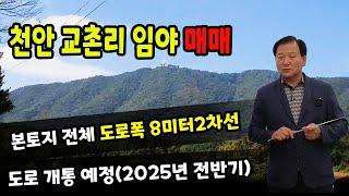 천안 교촌리 임야 매매 / 천안 부동산 / 부동산 투자 소개 드립니다.