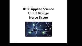 BTEC Applied Science: Unit 1 Biology Nerve Tissue