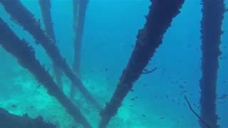 Salt Pier. Bonaire (by Snorkeling Quest)