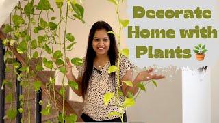 Tips to Decorate Home with Plants||Home decoration ideas with greenery