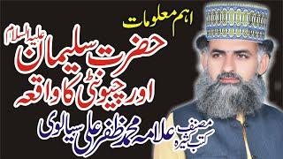 Allama Qari Muhammad Zafar Ali Sialvi || Hazrat suliman a s V/s Chioanti 2021 Al hafiz sound