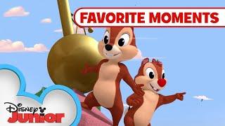 Nutty Tales Compilation! Part 4 | Chip 'N Dale's Nutty Tales | Disney Junior