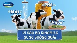 SỮA TƯƠI VINAMILK 100% - BÒ TƯƠI VUI, SỮA TƯƠI NGON 100%