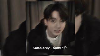 GATA ONLY - Sped up