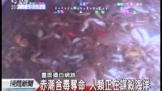 20120513-公視晚間新聞-長期承受人類污染 海洋生病了.mpg
