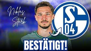 DEAL PERFEKT: Niklas STARK verstärkt die KNAPPEN | S04 nachrichten heute