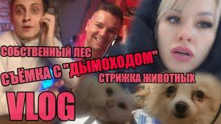 VLOG ▶ СЪЁМКА С "ДЫМОХОДОМ", СОБСТВЕННЫЙ ЛЕС, СТРИЖКА ЖИВОТНЫХ