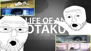 life of an otaku might be peak