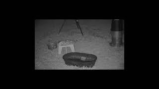 Uncle Jesse's Rail Yard Live Stream
