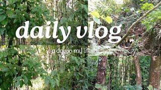 Today Forest View Vlog 