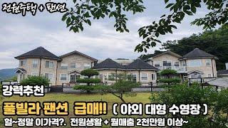 [급매] 야외대형수영장.전원생활하면서 팬션운영으로  월매출 2천만원이상