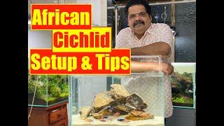 African Cichlid Fish | How to Setup an Aquarium  | Mayur Dev's Tips on Cichlid Fish Keeping |HD1080p