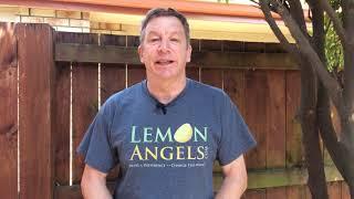 Become a Podcast Guest For Lemon Angels