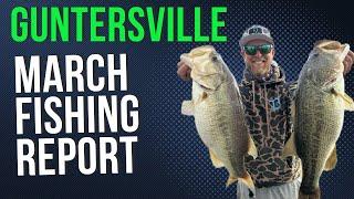 Guntersville March Fishing Report (WHATS ON THE DECK?!)