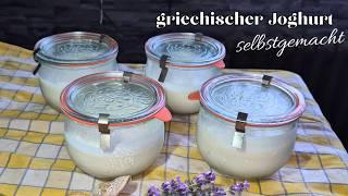 Griechischer Joghurt mit nur 2 Zutaten einfach selber machen, spart Geld #143