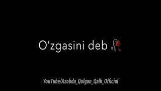 Yozuvli videolar qora yozuvli videolar