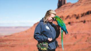 How We Show Our Birds LOVE!
