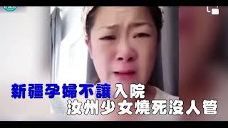 大陸民謠！人民真的要反了？五億失業！#習近平#反中#專制#皇帝