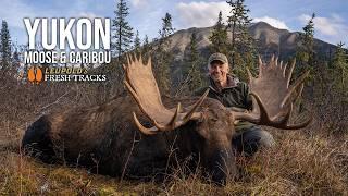 EPIC Caribou & Moose Hunt! | Randy’s Yukon Dream Hunt #FreshTracks