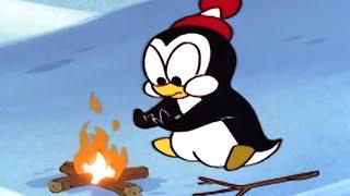 Chilly Willy en Español En peligro de extinción Chilly - Capitulos completosDibujos Animad