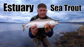 SEA TROUT SMASHED MY LURE - Shore Fishing UK