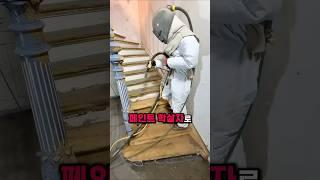 페인트 학살자로 불리는이유