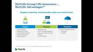 MetLife Life Insurance (SEBB) 2023