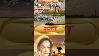 कुरजां,महिला और लोकजीवन  Rajveer Sir | Chalkoi Foundation |