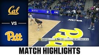 Cal vs. Pitt Match Highlights | 2024 ACC Volleyball