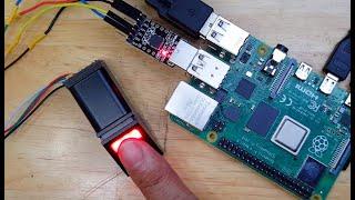 RASPBERRY PI 4 WITH FINGERPRINT SCANNER (UART) COMPLETE TUTORIAL AND DETAILED INITIAL SETUP DEMO.