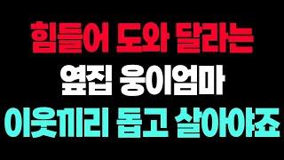 | 불륜연구소 그땐 그러지 못했을까 하는 미련이 자꾸만 생깁니다.