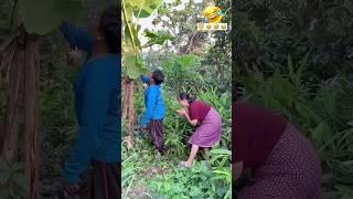 #timelapse Star to finish alone build log cabin (wooden house) how to build wooden cabin surviva