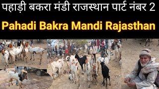 पहाड़ी बकरा मंडी राजस्थान पार्ट नंबर 2 बत्तीसी बकरियों का लॉट Pahadi Bakra Mandi Rajasthan