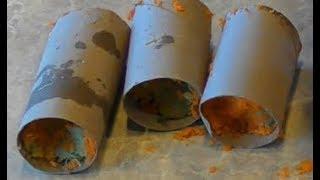 Food Tubes for Worm Composting do they Work? Day 8