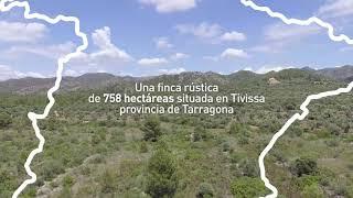 Finca Rústica Paraje Biscorn en Tarragona | Aliseda Inmobiliaria