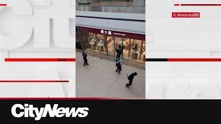 Smash-and-grab robbery at Fairview Mall followed by hit-and-run