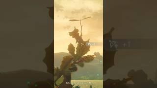 korok VS korok frond!! Tiers of the Koroks