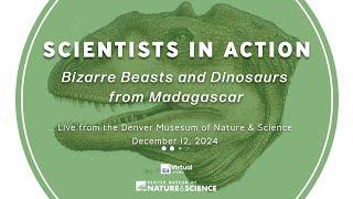 Scientists in Action: Bizarre Beasts and Dinosaurs from Madagascar