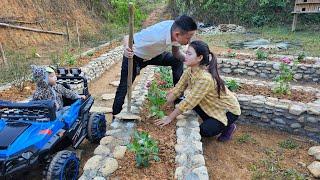 "Harvesting Artichoke Flowers Preserved in Sugar and the Beautiful Fragrant Flowers of CEO Hung".