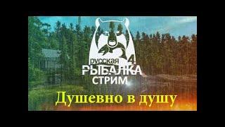 Russian Fishing 4 /АХТУБА НА ЖИВЦА И ДРУГАЯ РЫБКА,РУЛЕТКИ ДЛЯ ЗРИТЕЛЕЙ