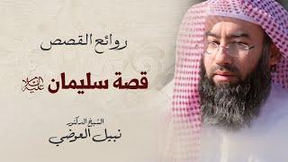 قصة سليمان عليه السلام | نبيل العوضي