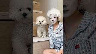 누가 비숑 메이크업을 해 ㅋ