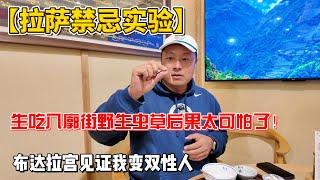 【拉萨禁忌实验】，生吃八廓街野生虫草后果太可怕了！布达拉宫见证我变双性人！感谢您一路的支持【Sean的世界TV】频道，欢迎加入我的会员频道，谢谢您一路的陪伴！