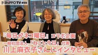 『毎日がネコ曜日』コラボ企画！ 一般社団法人「ねこと今日」代表 川上麻衣子さんにインタビュー　【ShippoTV 保護猫情報番組vol.59】