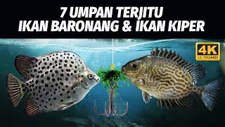 MANTAB! 7 UMPAN TERJITU MANCING IKAN BARONANG & IKAN KIPER / KETANG-KETANG! 4K