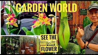 Garden World. CORPSE FLOWER which can reach a 3 meter height. Fantastic ORCHIDS. LivingStones Plants