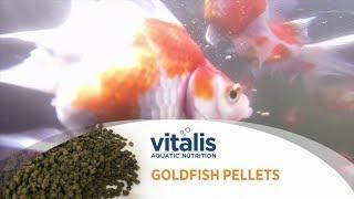 Vitalis Goldfish Pellets