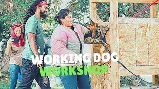 Decoy & Working Dog Workshop | Grassroots K9