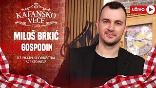 MILOS BRKIC - GOSPODIN | UZIVO | ORK ACE STOJNEVA | 2024 | KAFANSKO VECE